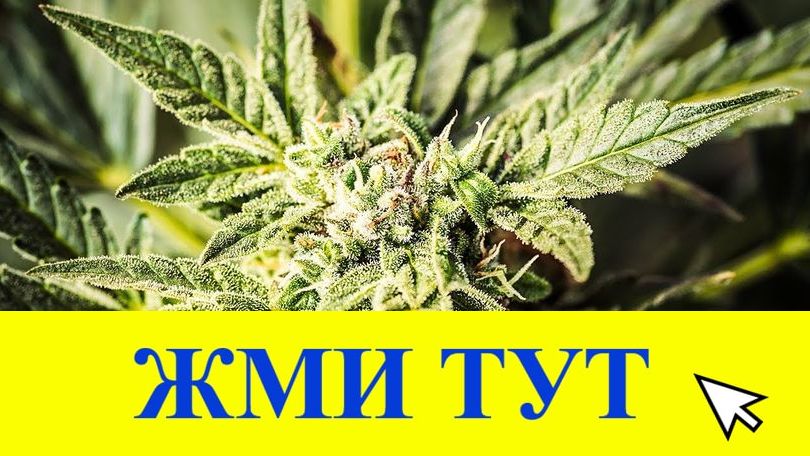 Купить наркотики в Тюмени